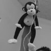 carram1's Avatar