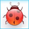 bubmoj's Avatar