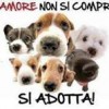 meticcio's Avatar