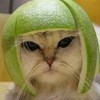 bargök's Avatar