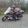 goltre's Avatar