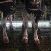 啓治宅田's Avatar