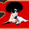 สะหเริ's Avatar