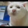эльгал's Avatar
