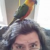 alomof's Avatar