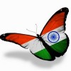 nipdut's Avatar