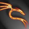 andsor's Avatar