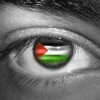 dimapo's Avatar