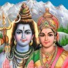 satkum's Avatar