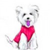 strmen's Avatar