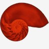 pedmor1's Avatar