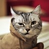 эльгал1's Avatar