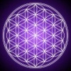 fb_1069443785's Avatar