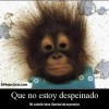 desgra's Avatar