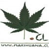 maricl's Avatar