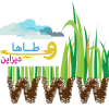 webhir's Avatar
