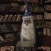 wizzard33's Avatar