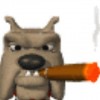 didmai's Avatar