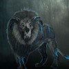 krikov's Avatar