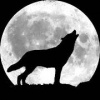 fb_100000454737583's Avatar