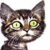 nitken's Avatar