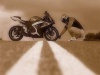 fb_1651084832's Avatar