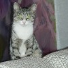 вассид's Avatar