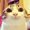 bilrig's Avatar