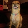 bobsie's Avatar