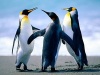 fb_100002087005341's Avatar