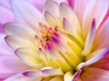 fb_100001806418291's Avatar
