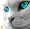 fb_1467314008's Avatar