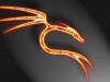 fb_559917793's Avatar