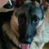 uwewec's Avatar