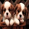 homeandbeds102's Avatar