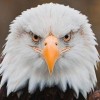 frewil's Avatar
