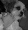 fb_100002183603502's Avatar