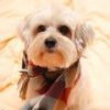 fb_644196907's Avatar