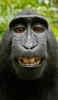 juraho's Avatar