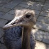 marboe's Avatar