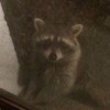 kenbow's Avatar