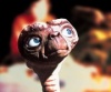 allhou's Avatar