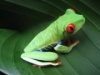 browin's Avatar