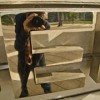 erihjo's Avatar
