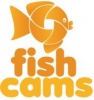 dbfis's Avatar