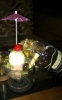 thingu's Avatar