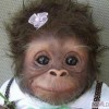 davprc's Avatar