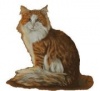 jutelb's Avatar
