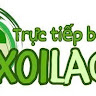 xoilad1's Avatar