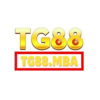 tg88mba's Avatar